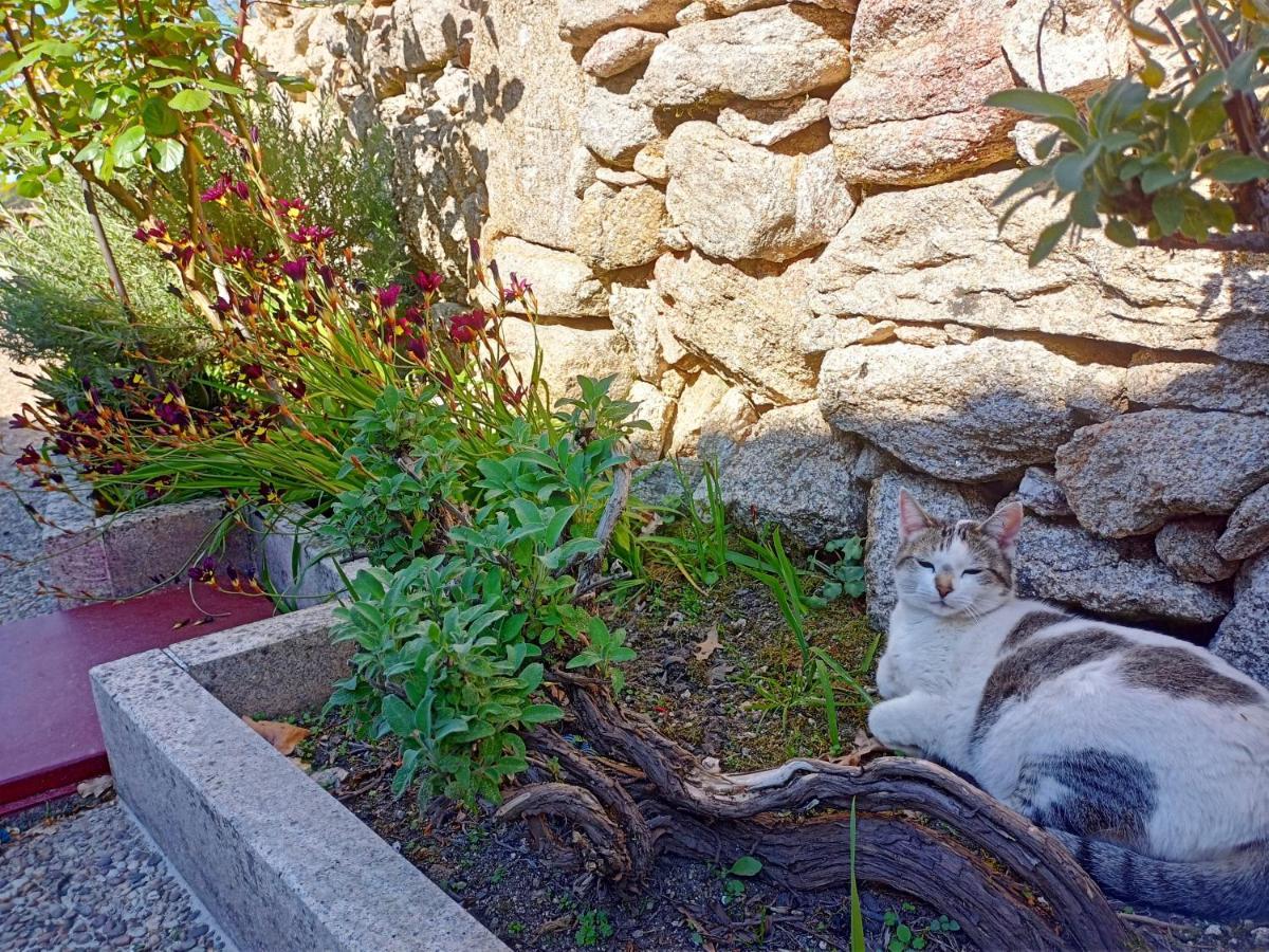 Monção Jardim Da Rosaゲストハウス エクステリア 写真